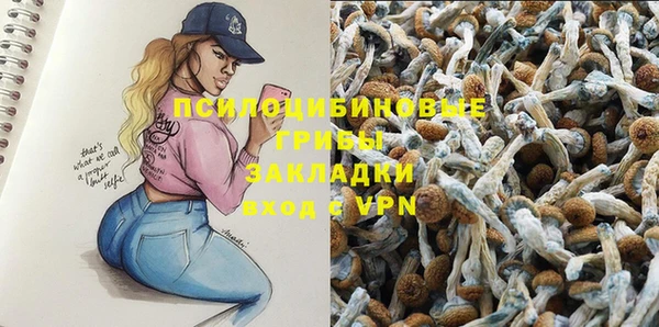 крисы Абдулино