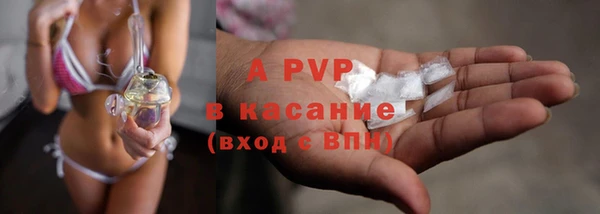сатива Абинск