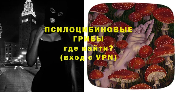 крисы Абдулино