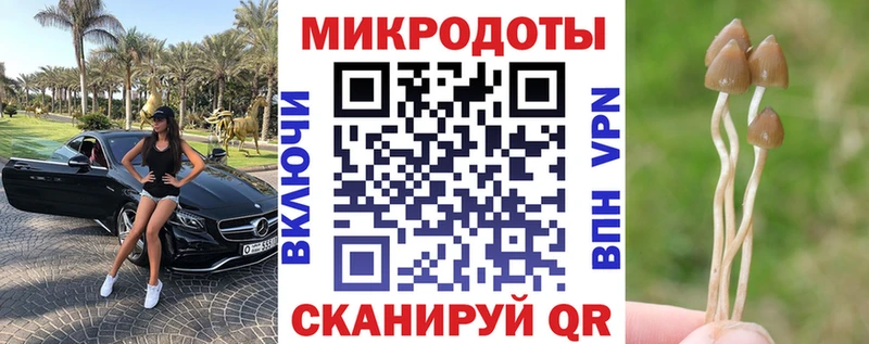 Псилоцибиновые грибы ЛСД  где купить наркоту  Карталы 